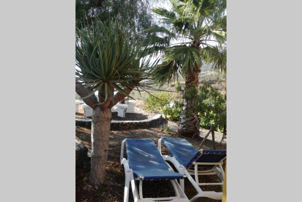 אל פאסו Casa Las Laderitas B מראה חיצוני תמונה